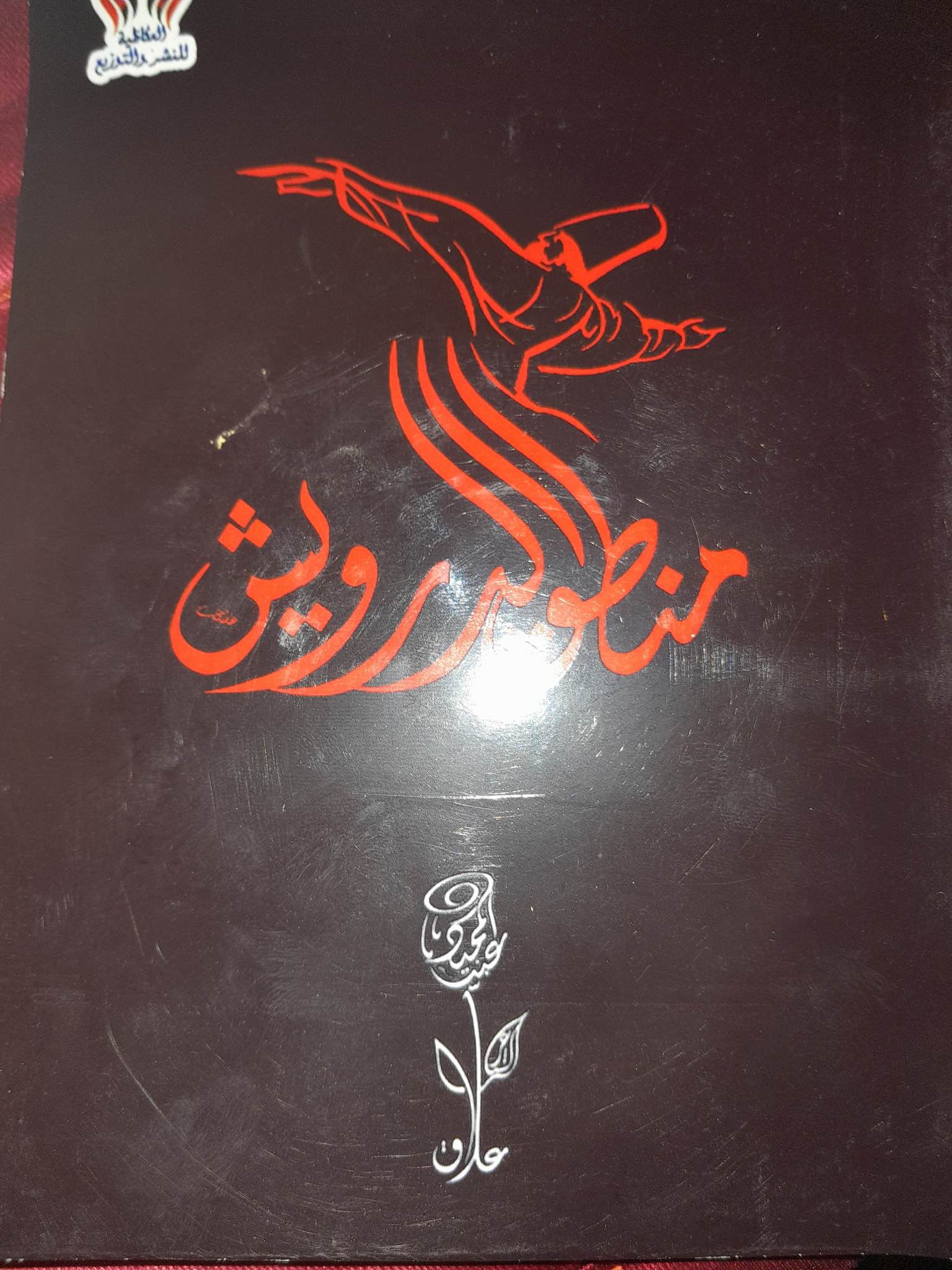 منطق الدرويش يحلق بنا إلى مقامات العارفين
