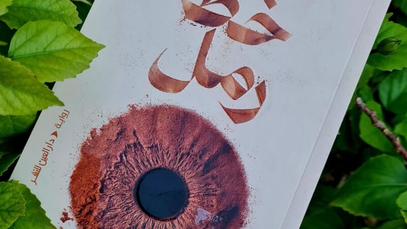 خط رمل لهاجر قويدري، أثر التوازي على السرد المتوالي، من تعدد الرواة إلى تعدد الثيمات. 3 (2)