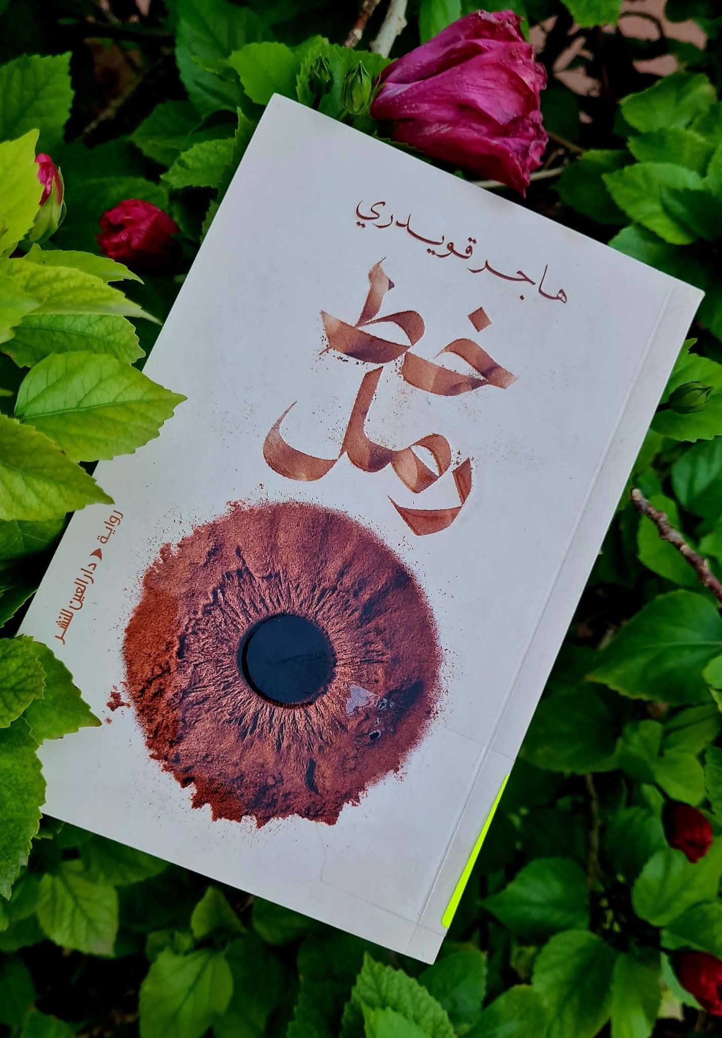 خط رمل لهاجر قويدري، أثر التوازي على السرد المتوالي، من تعدد الرواة إلى تعدد الثيمات.